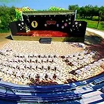 Club Village & Romea Lido di Volano