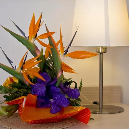 Feriested Club Village & Romea 3*