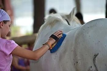 Club Village & Romea Semesteranläggning (resort) Lido di Volano