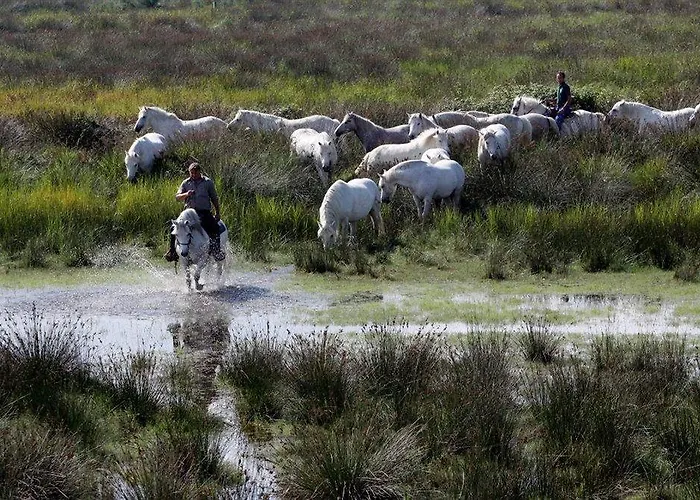 Club Village & Romea Resort 3*