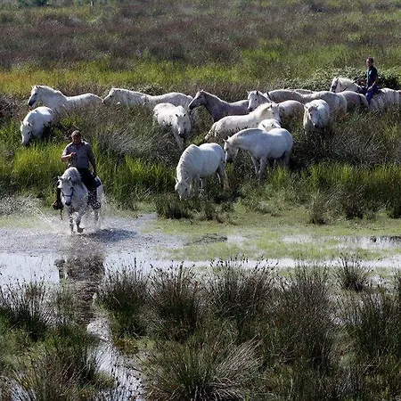 Club Village & Romea منتجع 3*