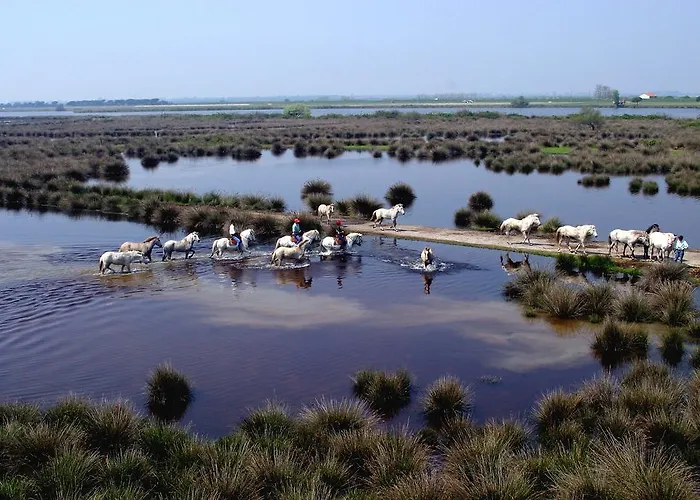 Club Village & Romea Resort